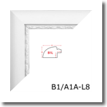 B1_A1A_L8
