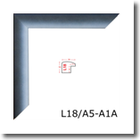 L18_A5_A1A